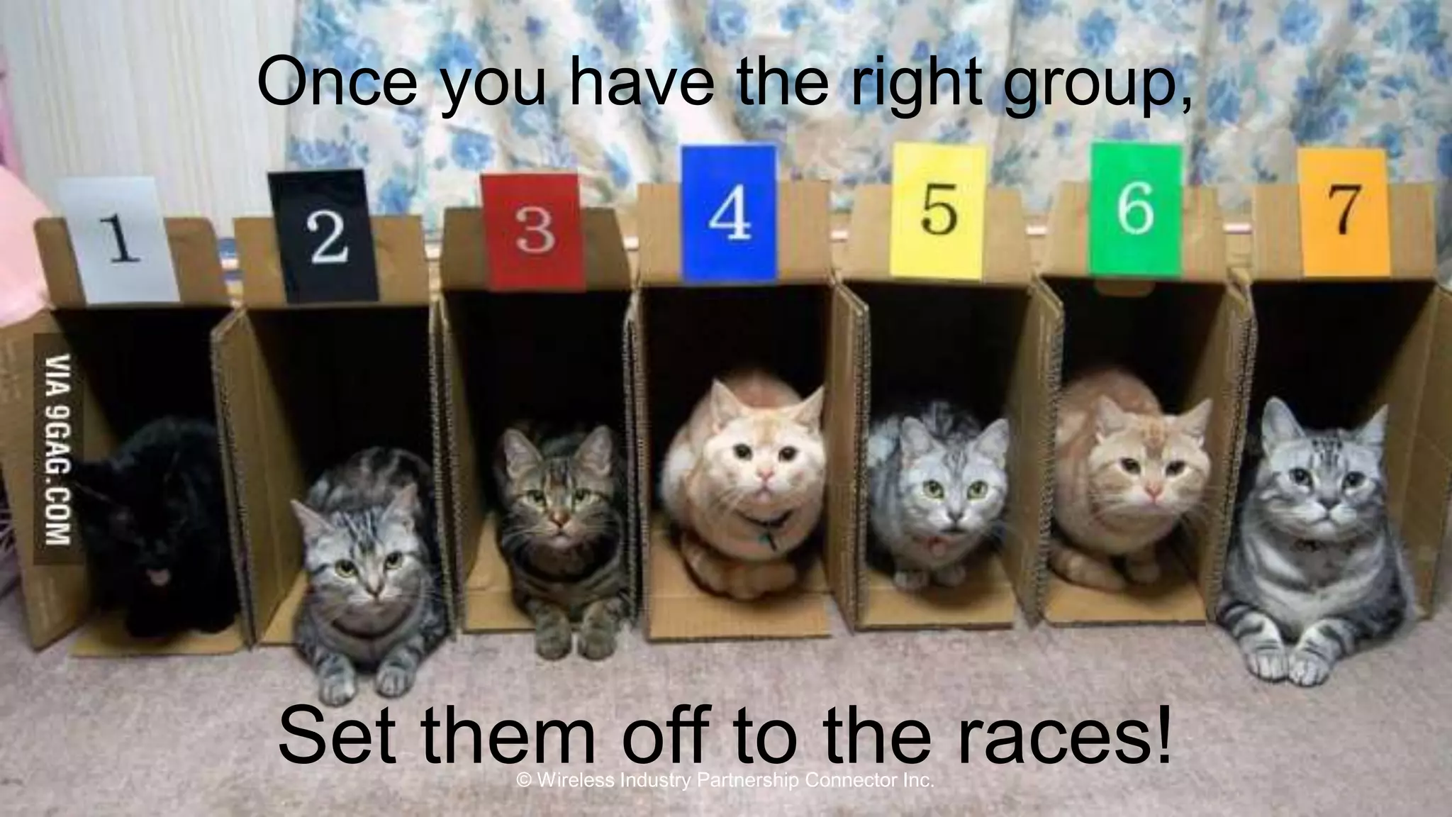 Once you have the right group, 
Set them off to the races! 
© Wireless Industry Partnership Connector Inc. 
 