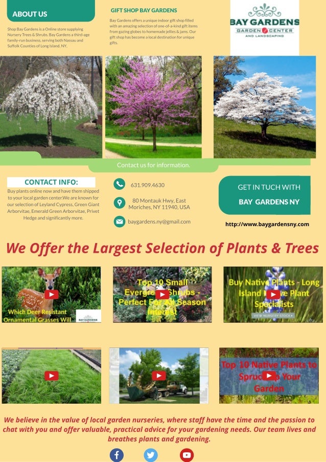 Long Island Plant Tree Nurseries Garden Center Buy Trees Shrubs
