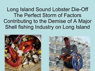 Long Island Sound Lobster Die-Off The Perfect Storm of Factors Contributing to the Demise of A Major Shell fishing Industry on Long Island 