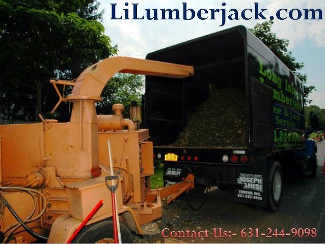 Tree Removal Long Island Suffolk County Tree Removal Long Island Suffolk County