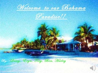 Welcome  to our Bahama Paradise!!  By:  Daisy, Eryn, Trey, Ben, Hailey 