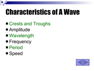 Characteristics of A Wave Crests and Troughs Amplitude Wavelength Frequency Period Speed 