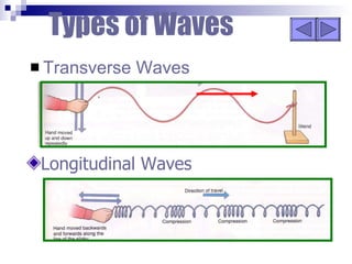 Types of Waves Transverse Waves Longitudinal Waves 
