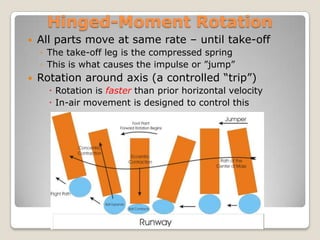 Hinged-Moment Rotation
   All parts move at same rate – until take-off
    ◦ The take-off leg is the compressed spring
    ◦ This is what causes the impulse or ”jump”
   Rotation around axis (a controlled “trip”)
       Rotation is faster than prior horizontal velocity
       In-air movement is designed to control this
 