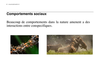 2   LongLastingMontpellier.nb




Comportements sociaux

Beaucoup de comportements dans la nature amenent a des
interactions entre conspecifiques.
 
