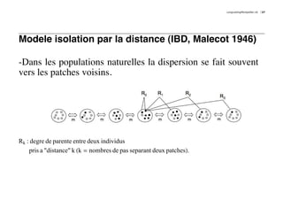 LongLastingMontpellier.nb   27




Modele isolation par la distance (IBD, Malecot 1946)

-Dans les populations naturelles la dispersion se fait souvent
vers les patches voisins.




Rk : degre de parente entre deux individus
    pris a "distance" k Hk = nombres de pas separant deux patchesL.
 