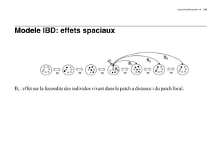 LongLastingMontpellier.nb   29




Modele IBD: effets spaciaux




Bi : effet sur la fecondite des individus vivant dans le patch a distance i du patch focal.
 