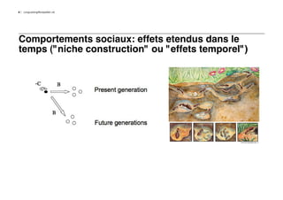 4   LongLastingMontpellier.nb




Comportements sociaux: effets etendus dans le
temps ("niche construction" ou "effets temporel")
 