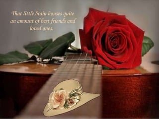 That little brain houses quite an amount of best friends and loved ones.  