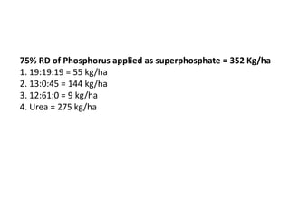 75% RD of Phosphorus applied as superphosphate = 352 Kg/ha
1. 19:19:19 = 55 kg/ha
2. 13:0:45 = 144 kg/ha
3. 12:61:0 = 9 kg/ha
4. Urea = 275 kg/ha
 