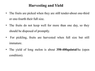 Harvesting and Yield
• The fruits are picked when they are still tender-about one-third
or one-fourth their full size.
• The fruits do not keep well for more than one day, so they
should be disposed of promptly.
• For pickling, fruits are harvested when full size but still
immature.
• The yield of long melon is about 350-400quintal/ha (open
condition).
 