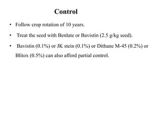 Control
• Follow crop rotation of 10 years.
• Treat the seed with Benlate or Bavistin (2.5 g/kg seed).
• Bavistin (0.1%) or JK stein (0.1%) or Dithane M-45 (0.2%) or
Blitox (0.5%) can also afford partial control.
 