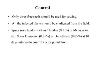 Control
• Only virus free seeds should be used for sowing.
• All the infected plants should be eradicated from the field.
• Spray insecticides such as Thiodan (0.1 %) or Metasystox
(0.1%) or Dimecron (0.05%) or Dimethoate (0.05%) at 10
days interval to control vector population.
 