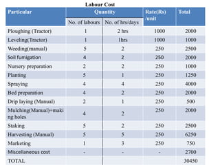 Particular Quantity Rate(Rs)
/unit
Total
No. of labours No. of hrs/days
Ploughing (Tractor) 1 2 hrs 1000 2000
Leveling(Tractor) 1 1hrs 1000 1000
Weeding(manual) 5 2 250 2500
Soil fumigation 4 2 250 2000
Nursery preparation 2 2 250 1000
Planting 5 1 250 1250
Spraying 4 4 250 4000
Bed preparation 4 2 250 2000
Drip laying (Manual) 2 1 250 500
Mulching(Manual)+maki
ng holes
4 2
250 2000
Staking 5 2 250 2500
Harvesting (Manual) 5 5 250 6250
Marketing 1 3 250 750
Miscellaneous cost - - - 2700
TOTAL 30450
Labour Cost
 