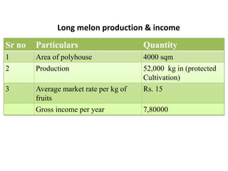 Long melon production & income
Sr no Particulars Quantity
1 Area of polyhouse 4000 sqm
2 Production 52,000 kg in (protected
Cultivation)
3 Average market rate per kg of
fruits
Rs. 15
Gross income per year 7,80000
 