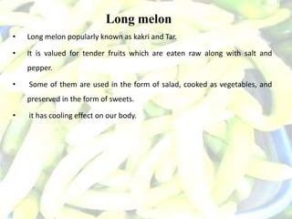 Long melon
• Long melon popularly known as kakri and Tar.
• It is valued for tender fruits which are eaten raw along with salt and
pepper.
• Some of them are used in the form of salad, cooked as vegetables, and
preserved in the form of sweets.
• it has cooling effect on our body.
 