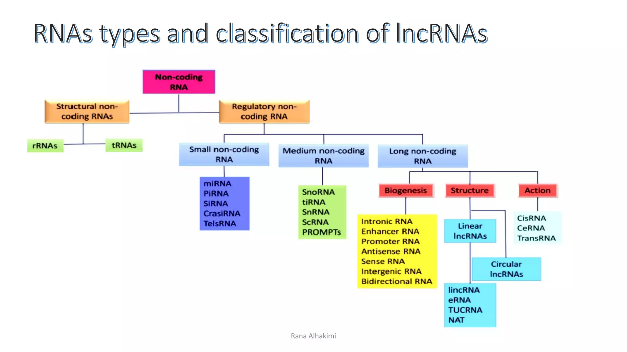 Long non coding RNA lncRNAs | PDF