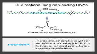 Long non coding RNA lncRNAs | PDF