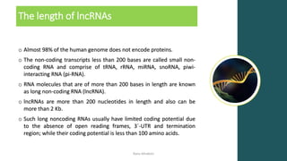 Long non coding RNA lncRNAs | PDF