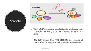 Long non coding RNA lncRNAs | PDF