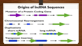 Origins of lncRNA Sequences
 