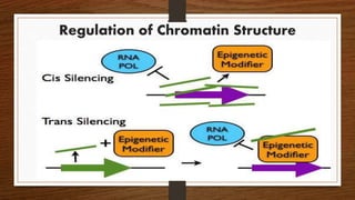 Regulation of Chromatin Structure
 