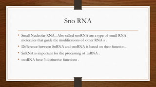 Sno RNA
• Small Nucleolar RNA , Also called snoRNA are a type of small RNA
molecules that guide the modifications of other RNA s .
• Difference between SnRNA and snoRNA is based on their function .
• SnRNA is important for the processing of mRNA .
• snoRNA have 3 distinctive functions .
 
