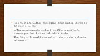 • Has a role in mRNA editing , where it plays a role in addition ( insertion ) or
deletion of nucleotides .
• mRNA transcripts can also be edited by snoRNA s by modifying ( a
systematic procedure ) from one nucleotide into another .
• This editing involves modifications such as cytidine to uridine or adenosine
to innosine .
 