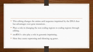 • This editing changes the amino acid sequence imprinted by the DNA thus
has advantages over gene mutations .
• Plays a role in changing the non coding regions to coding regions through
editing .
• snoRNA s also play a role in genomic imprinting .
• Here they cause expressing and silencing og genes .
 