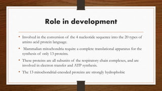 Role in development
• Involved in the conversion of the 4 nucleotide sequence into the 20 types of
amino acid protein language.
• Mammalian mitochondria require a complete translational apparatus for the
synthesis of only 13 proteins.
• These proteins are all subunits of the respiratory chain complexes, and are
involved in electron transfer and ATP synthesis.
• The 13 mitochondrial-encoded proteins are strongly hydrophobic
 
