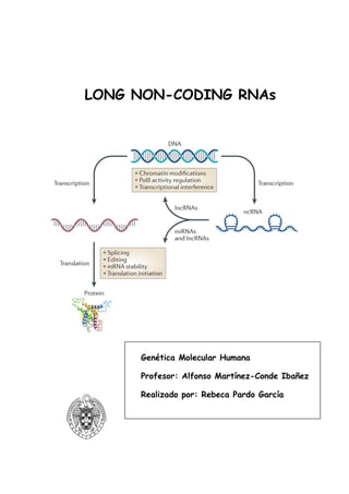 Long non coding RNAs | PDF