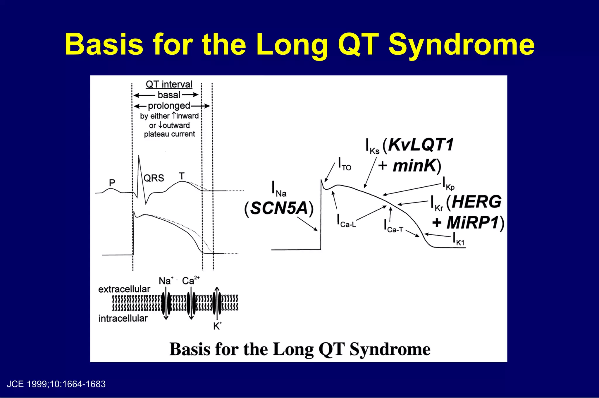Basis for the Long QT Syndrome JCE 1999;10:1664-1683 