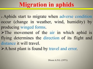 Wind Migration Insect Long-range migration in insects : Mechanisms and monitoring techniques ...