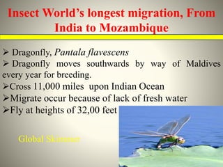 Long-range migration in insects : Mechanisms and monitoring techniques ...
