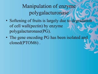 Enzyme Pg Long self life of fruits and vegetables | PPTX