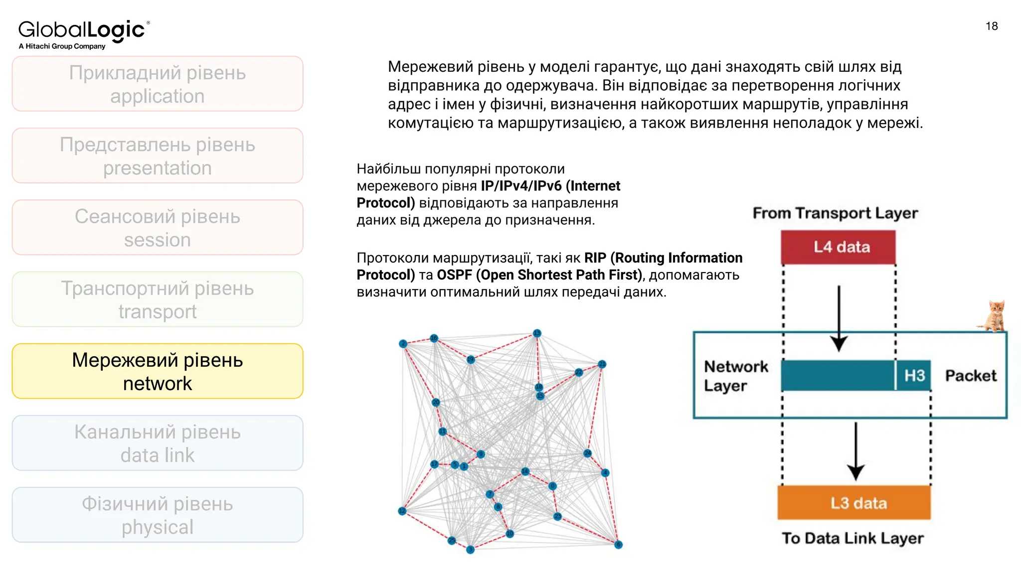 18
Conﬁdential
Фізичний рівень
physical
Канальний рівень
data link
Мережевий рівень
network
Транспортний рівень
transport
Представлень рівень
presentation
Прикладний рівень
application
Сеансовий рівень
session
Мережевий рівень у моделі гарантує, що дані знаходять свій шлях від
відправника до одержувача. Він відповідає за перетворення логічних
адрес і імен у фізичні, визначення найкоротших маршрутів, управління
комутацією та маршрутизацією, а також виявлення неполадок у мережі.
Найбільш популярні протоколи
мережевого рівня IP/IPv4/IPv6 (Internet
Protocol) відповідають за направлення
даних від джерела до призначення.
Протоколи маршрутизації, такі як RIP (Routing Information
Protocol) та OSPF (Open Shortest Path First), допомагають
визначити оптимальний шлях передачі даних.
 