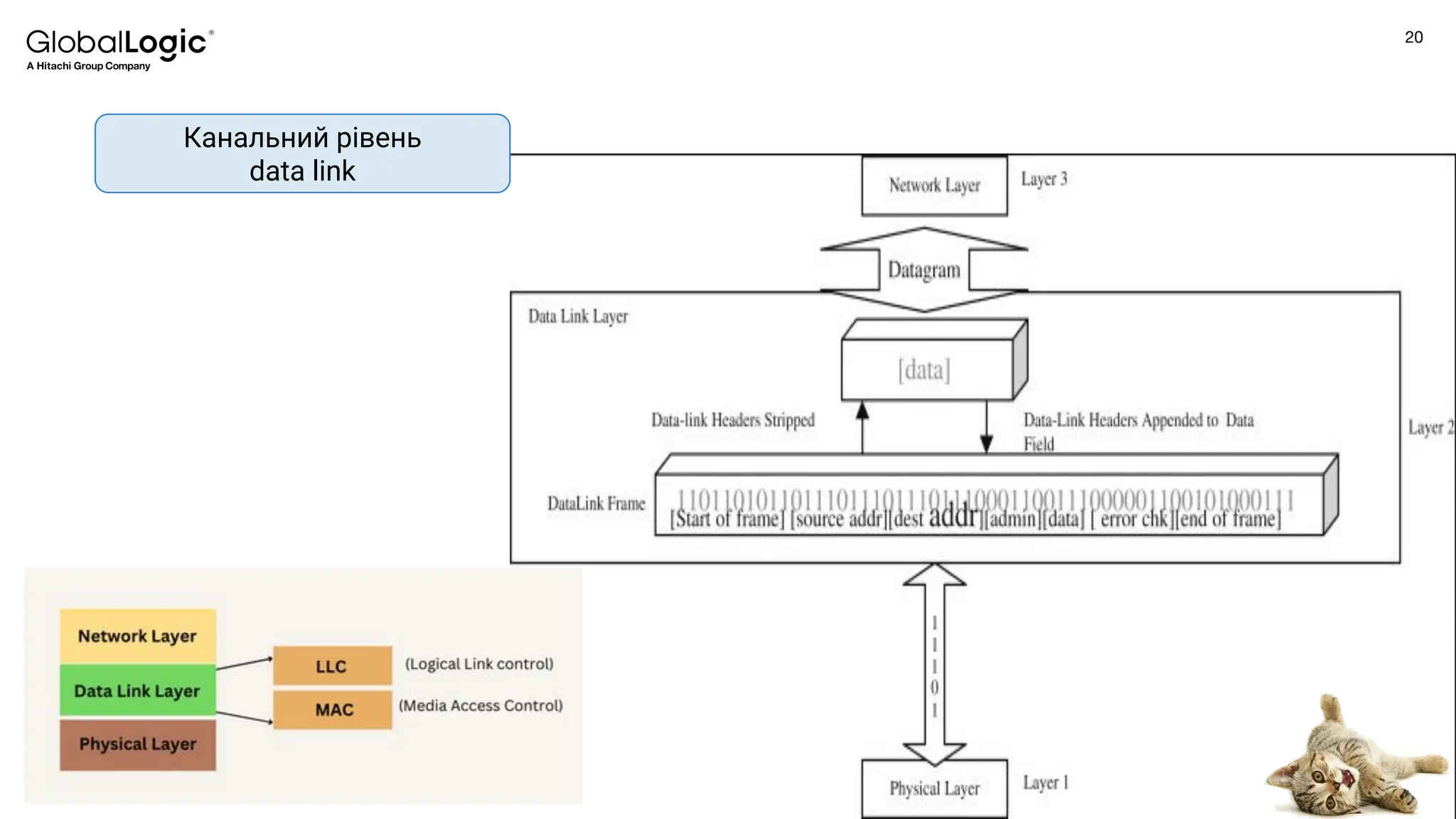 20
Conﬁdential
Канальний рівень
data link
 