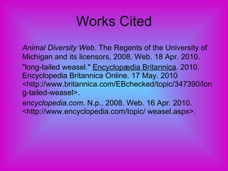 Works Cited Animal Diversity Web . The Regents of the University of Michigan and its licensors, 2008. Web. 18 Apr. 2010.  "long-tailed weasel."  Encyclopædia Britannica . 2010. Encyclopedia Britannica Online. 17 May. 2010 <http://www.britannica.com/EBchecked/topic/347390/long-tailed-weasel>.  encyclopedia.com . N.p., 2008. Web. 16 Apr. 2010. <http://www.encyclopedia.com/topic/ weasel.aspx>.  