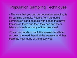 Population Sampling Techniques The way that you can do population sampling is by banding animals. People from the game commission band animals with bands that have trackers in them and then they can find them later and see how many of them survived. They use bands to track the weasels and later on down the road they find the weasels and they estimate how many of them survived 