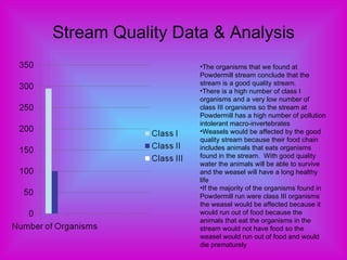 Stream Quality Data & Analysis The organisms that we found at Powdermill stream conclude that the stream is a good quality stream. There is a high number of class I organisms and a very low number of class III organisms so the stream at Powdermill has a high number of pollution intolerant macro-invertebrates Weasels would be affected by the good quality stream because their food chain includes animals that eats organisms found in the stream.  With good quality water the animals will be able to survive and the weasel will have a long healthy life If the majority of the organisms found in Powdermill run were class III organisms the weasel would be affected because it would run out of food because the animals that eat the organisms in the stream would not have food so the weasel would run out of food and would die prematurely 