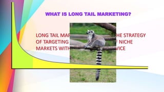 Long tail marketing | PPTX