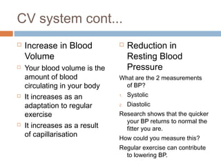 Long term effects of exercise on cv & energy systems | PPT