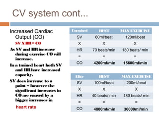 Long term effects of exercise on cv & energy systems | PPT