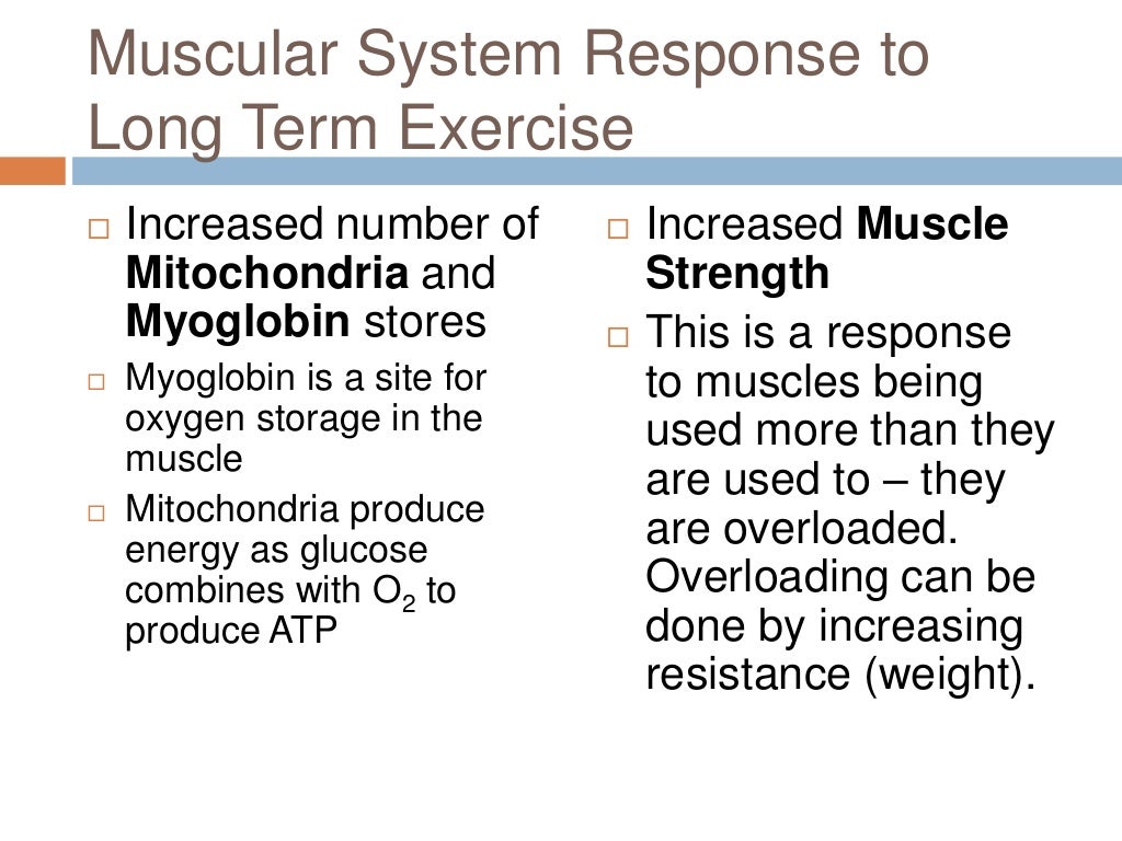 Long term effects of exercise on musculoskeletal system