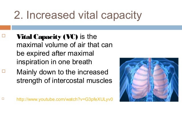 Long Term Effects Of Exercise On Respiratory System