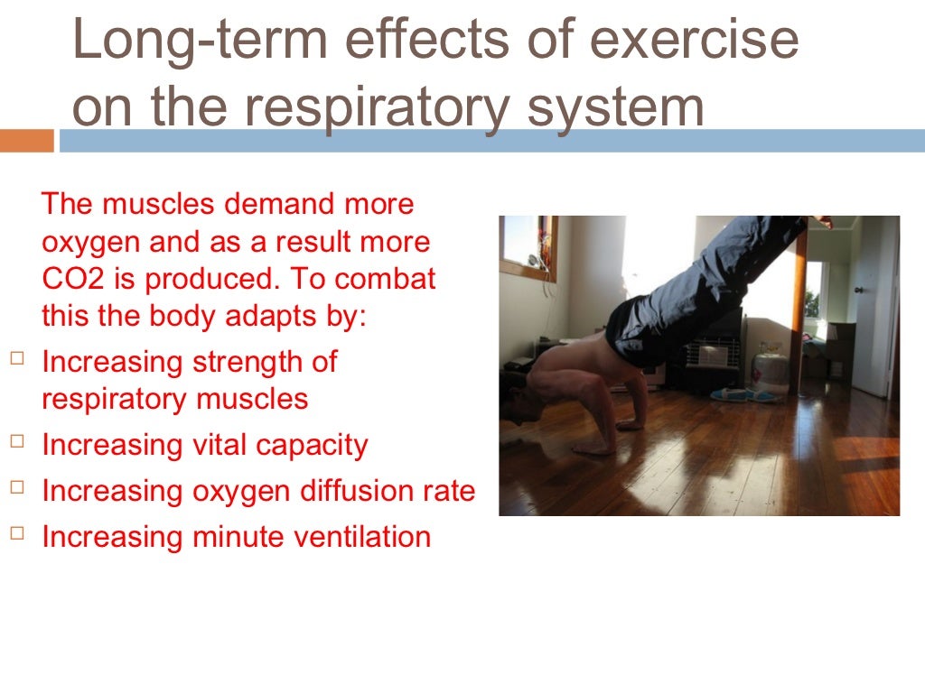 Long term effects of exercise on respiratory system
