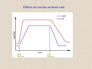 Effects of exercise on heart rate 