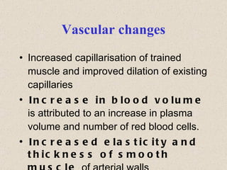 Vascular changes Increased capillarisation of trained muscle and improved dilation of existing capillaries Increase in blood volume   is attributed to an increase in plasma volume and number of red blood cells. Increased elasticity and thickness of smooth muscle   of arterial walls 