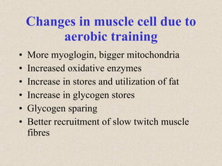 Changes in muscle cell due to aerobic training More myoglogin, bigger mitochondria Increased oxidative enzymes Increase in stores and utilization of fat Increase in glycogen stores Glycogen sparing Better recruitment of slow twitch muscle fibres 