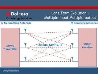 Long Term Evolution –
  Knowledge Services   Multiple-input Multiple-output




                       LTE-MIMO                   1
info@dolcera.com
 
